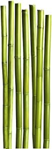 Decoración de bambú